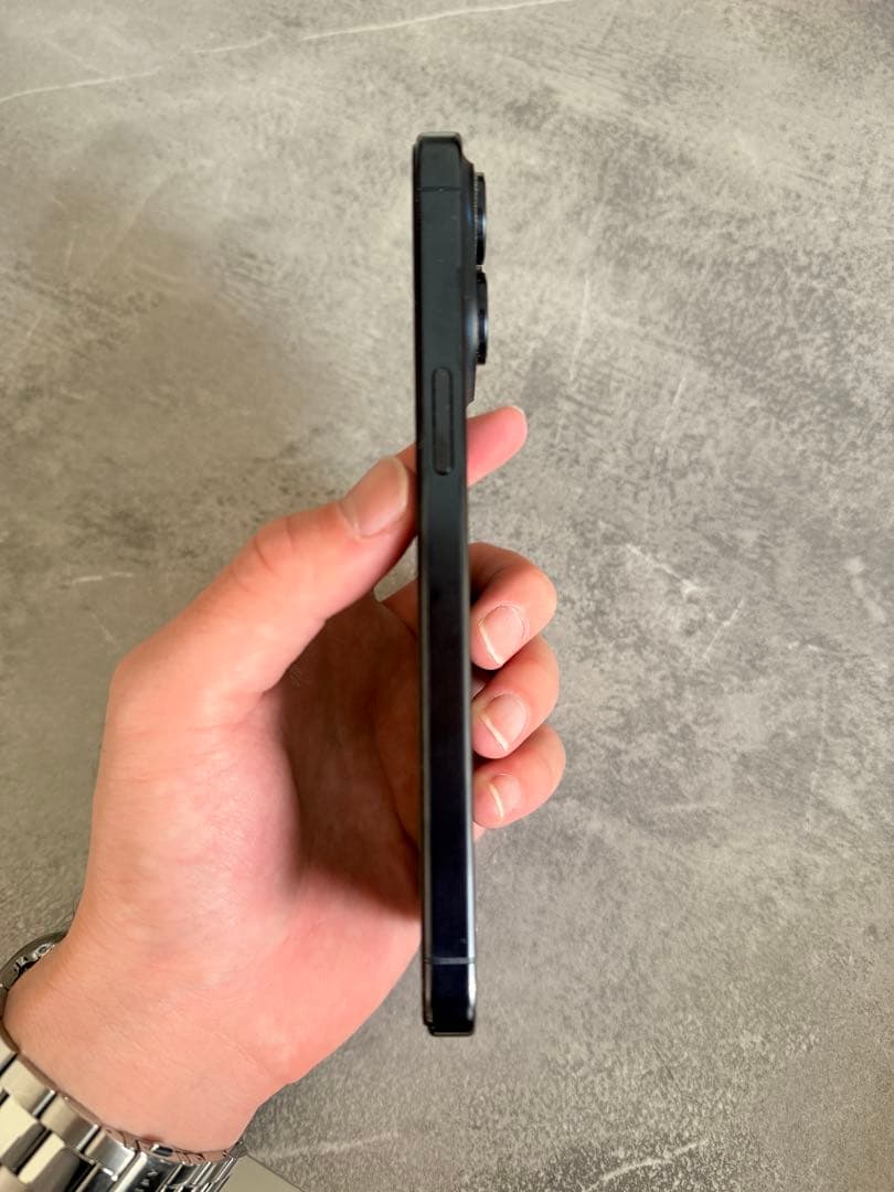 Apple iPhone 15 pro max ケース2種類付き