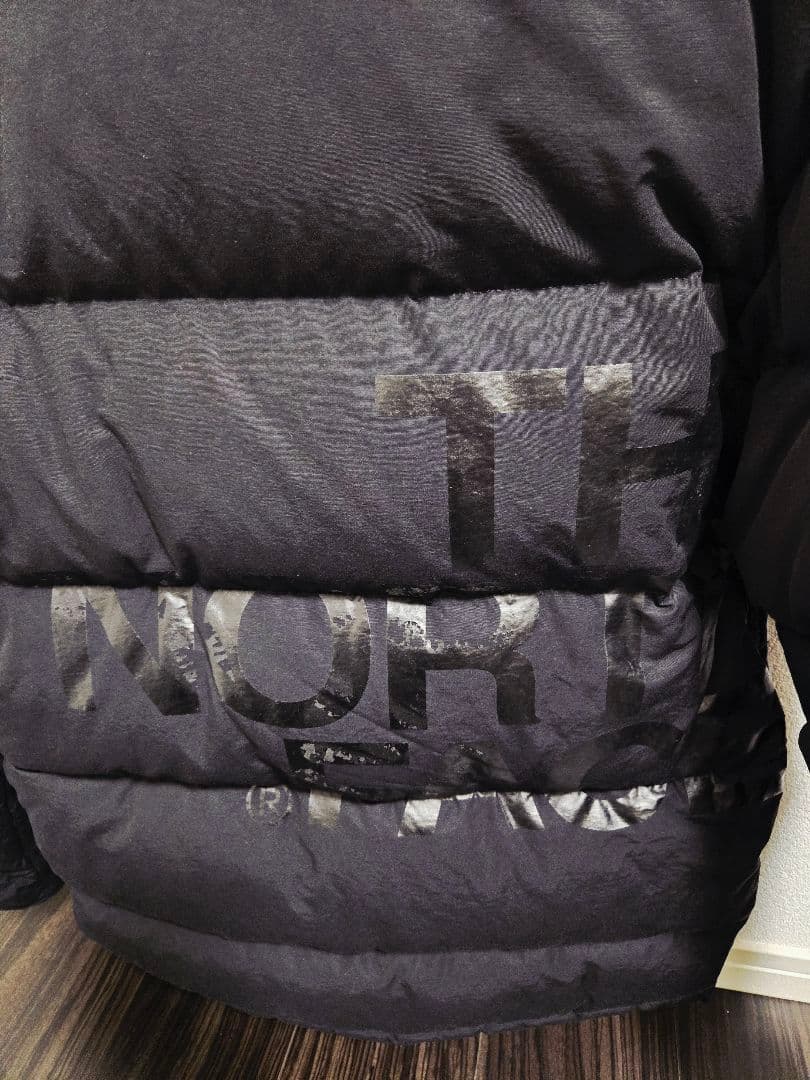 THE NORTH FACE/COMME des GARÇONS ダウン