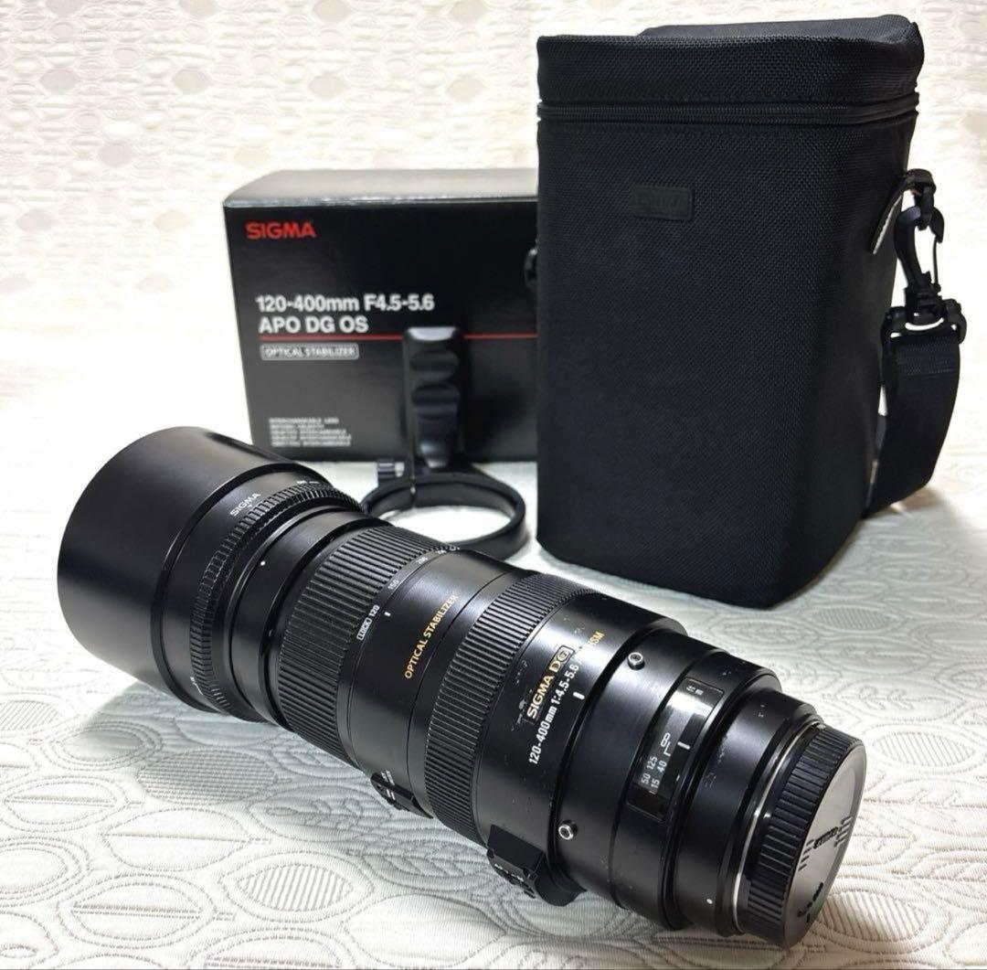 レンズ(ズーム) SIGMA 120-400mm F4.5-5.6 APO DG OS