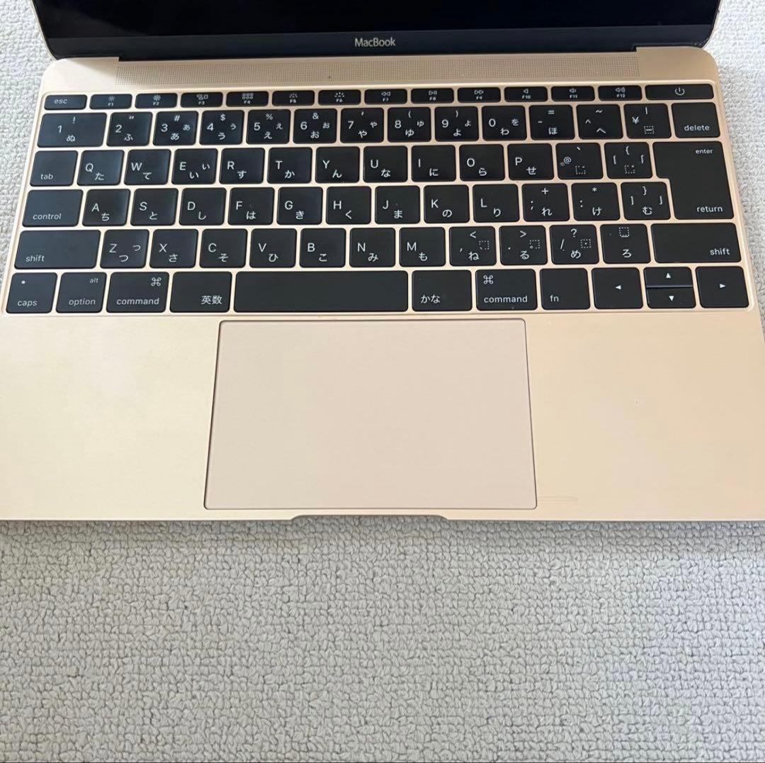 MacBook本体 Apple MacBook 256GB MK4M2J/A early2015
