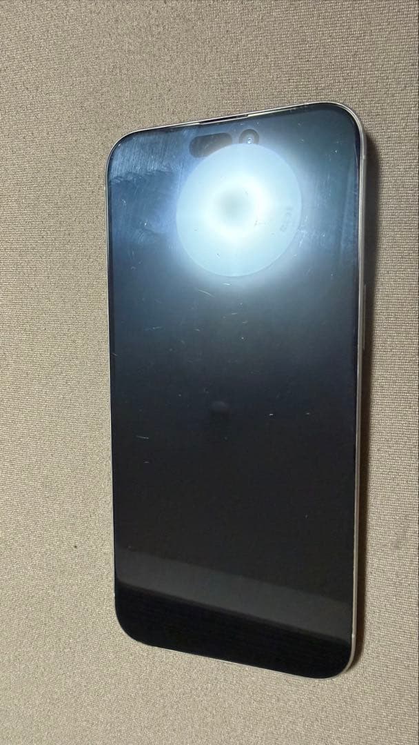 iPhone 15 Pro Max 258GB シルバー
