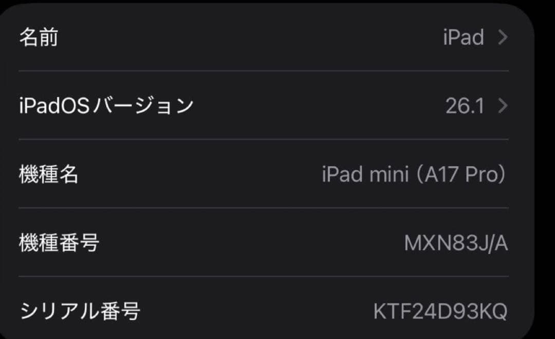 ipad mini 第7世代＋apple pencil pro 等