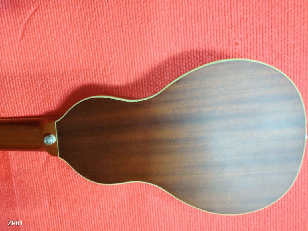 Wohler Rover R010 トラベルギター