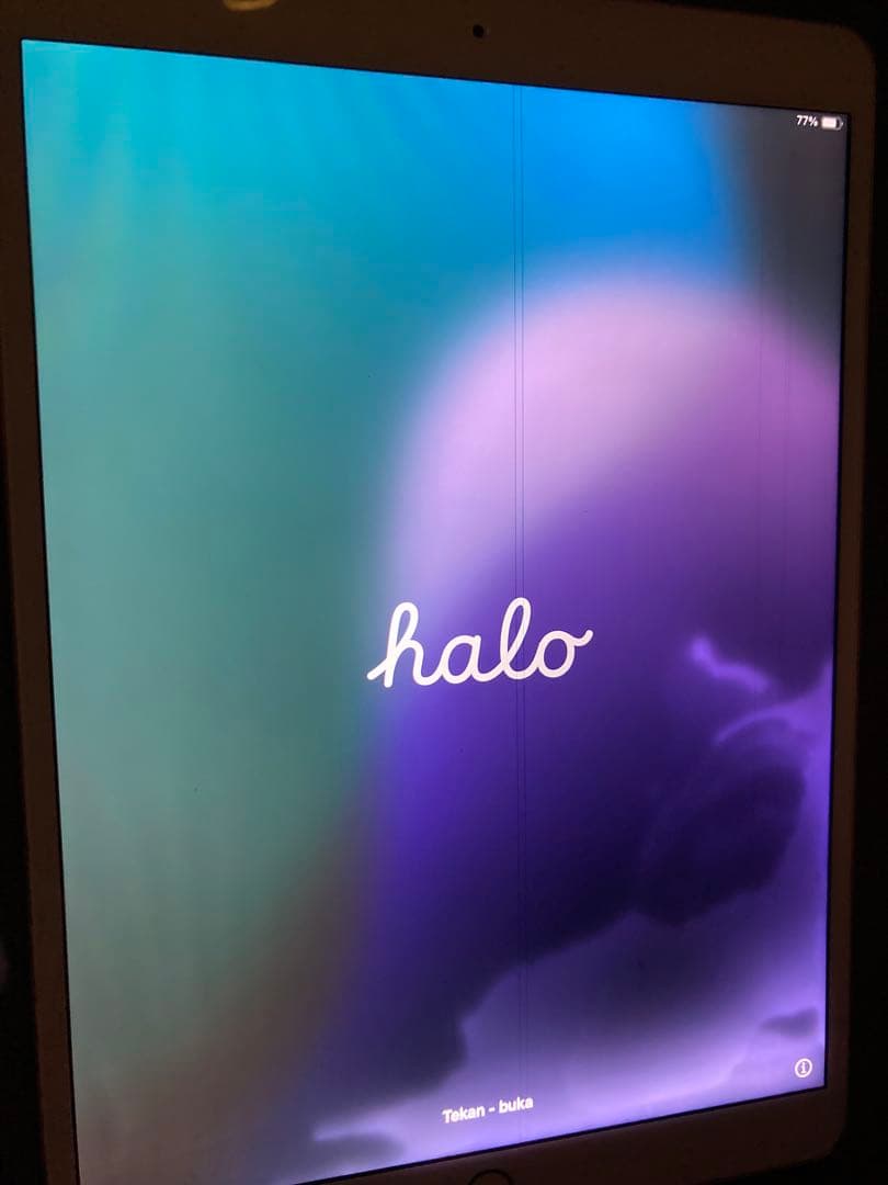 iPad Air3 Wi-Fiモデル 256GB ジャンク品　液晶のみ不良