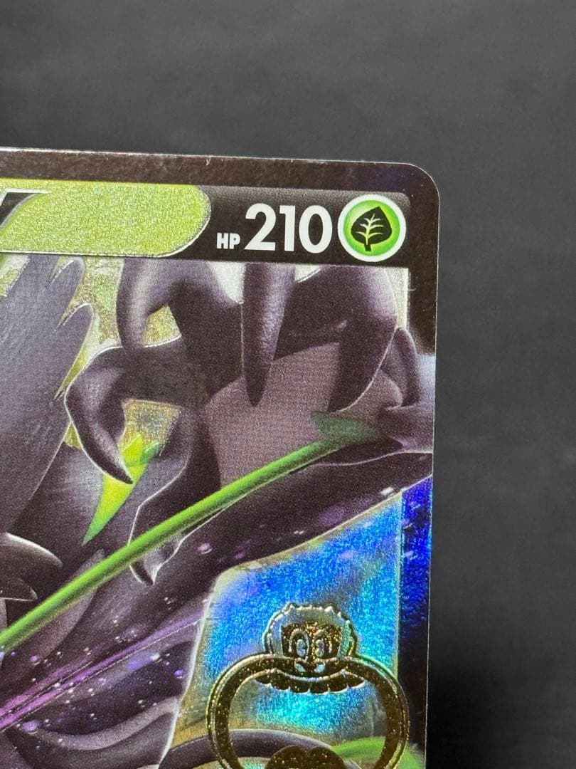 ザルードV：ガリガリ君×ポケモンカードゲーム PROMO S-Pプロモカード