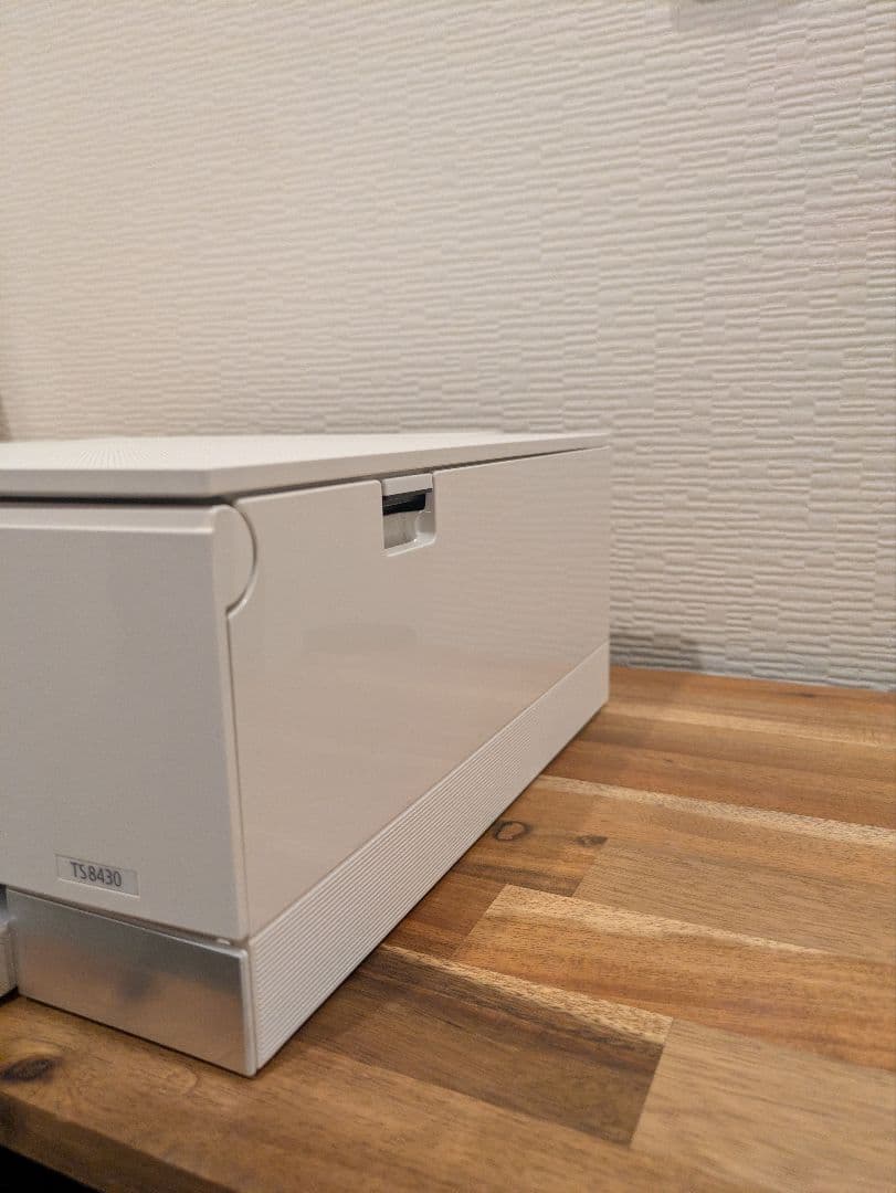 Canon PIXUS TS8430 印刷枚数 20枚以下 N8019