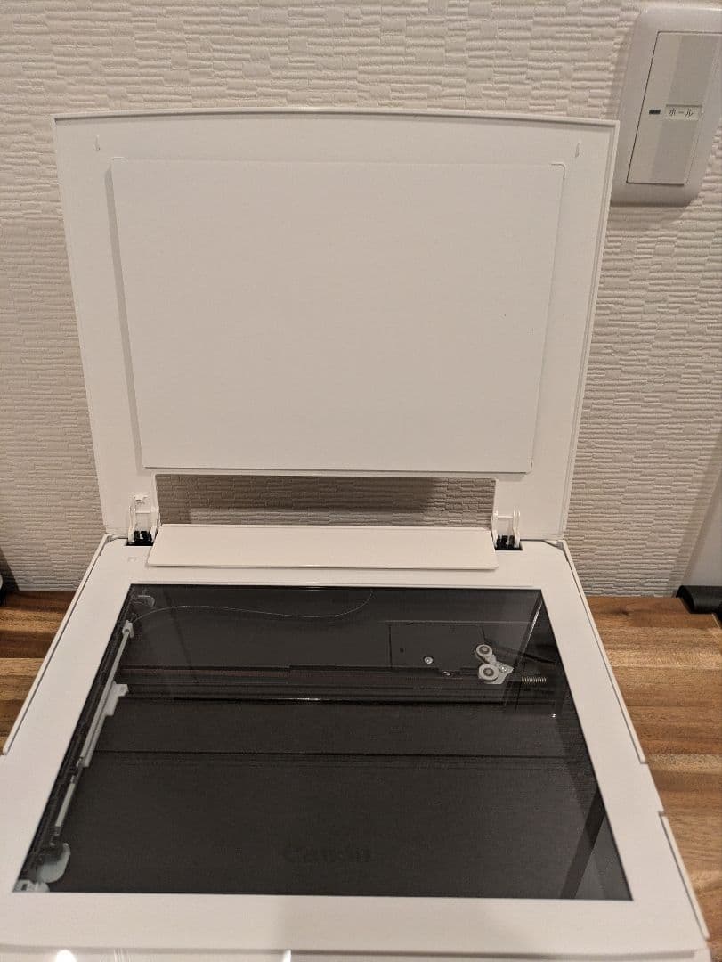 Canon PIXUS TS8430 印刷枚数 20枚以下 N8019