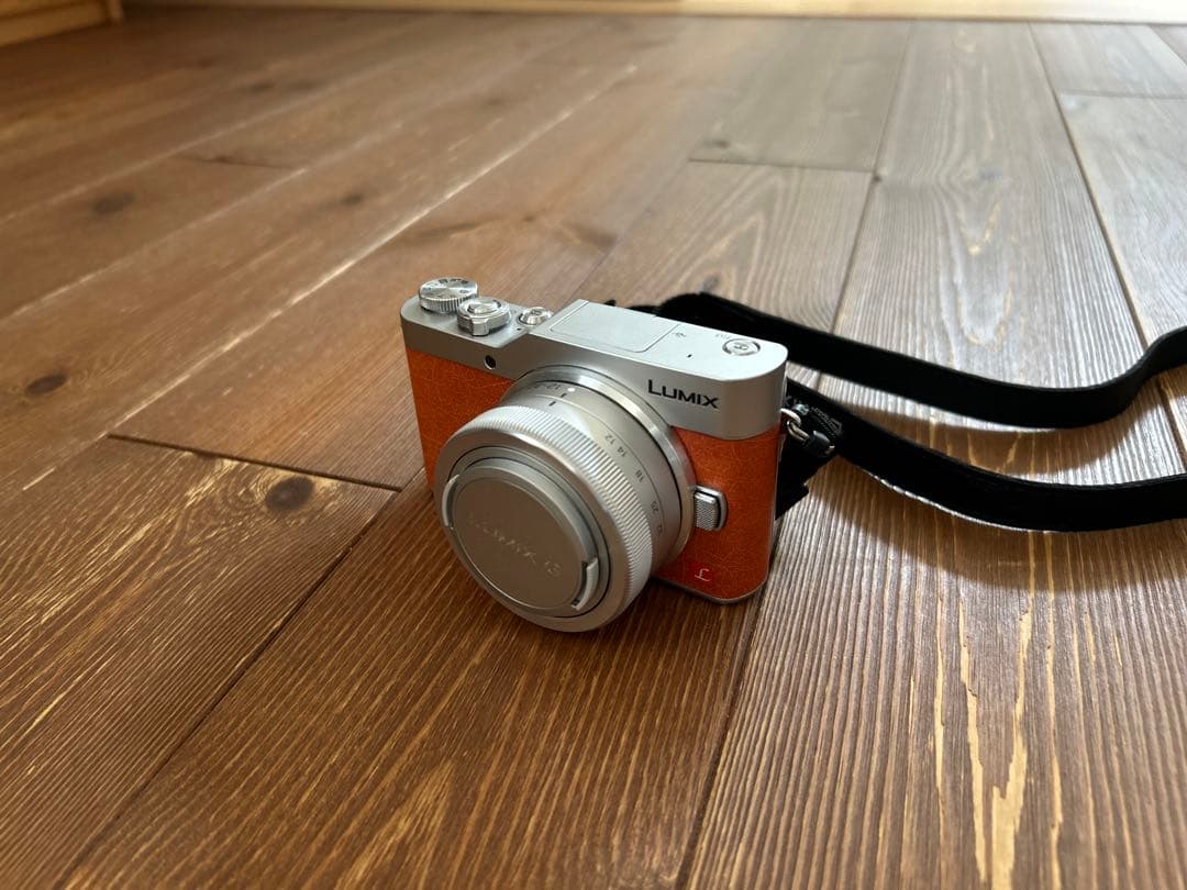 Panasonic Lumix ミラーレス一眼カメラ 2本レンズ付き