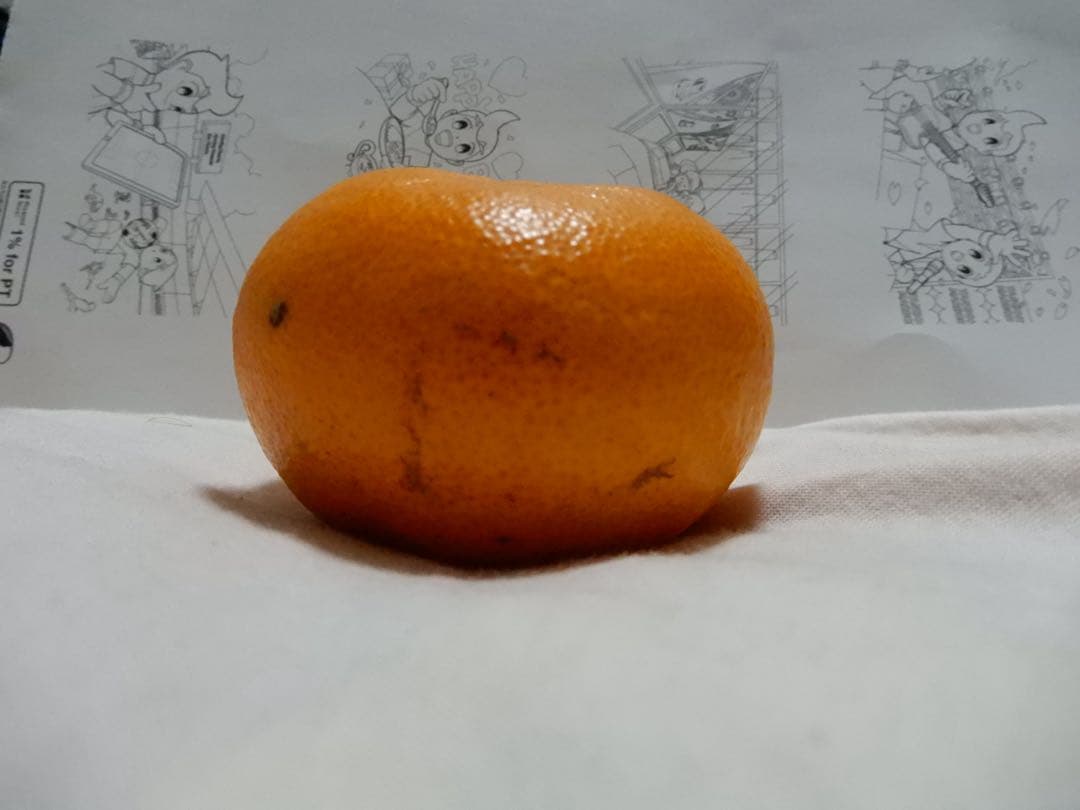 Nikon COOLPIX A900 35xズーム 4K