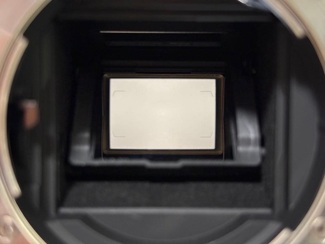 【美品・ショット数36000枚未満】Nikon D500 ボディ