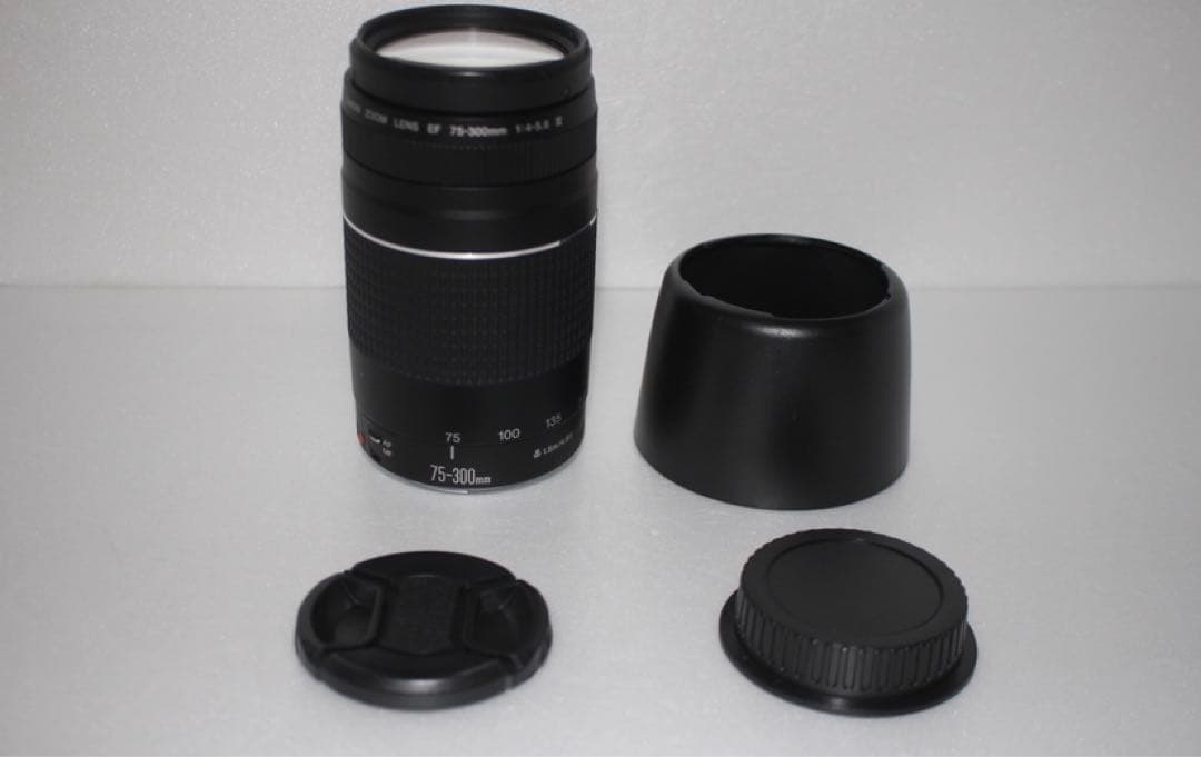 望遠レンズ☆キャノン☆Canon EF75-300㎜1:4-5.6Ⅲ