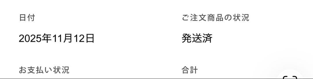 ユニセックス イントレピッド ワンダラー トール スノー ブーツ ハンター