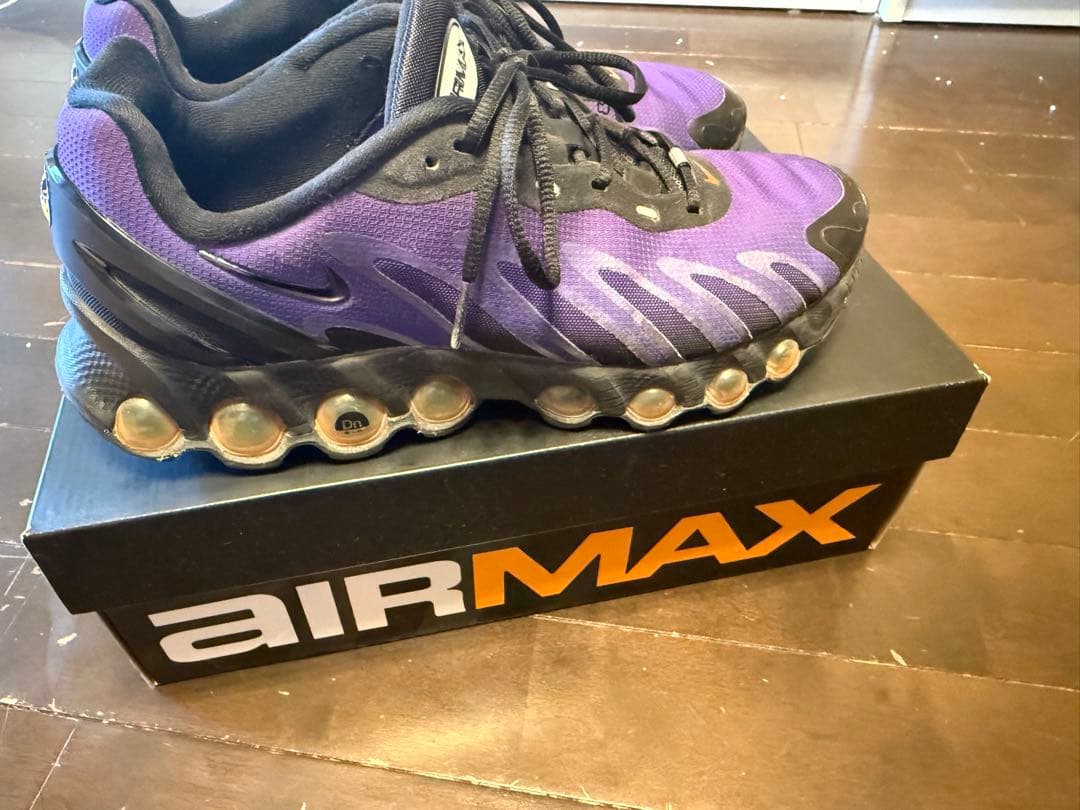 靴 Nike Air Max DN8 \
