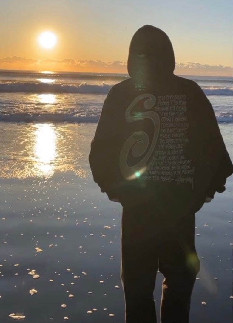 【正規品】Stussy ブラック パーカー Sロゴ