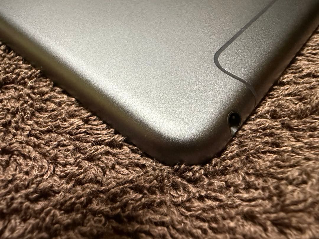 w*o様 ●iPad mini 第５世代 Cellularモデル　256GB S