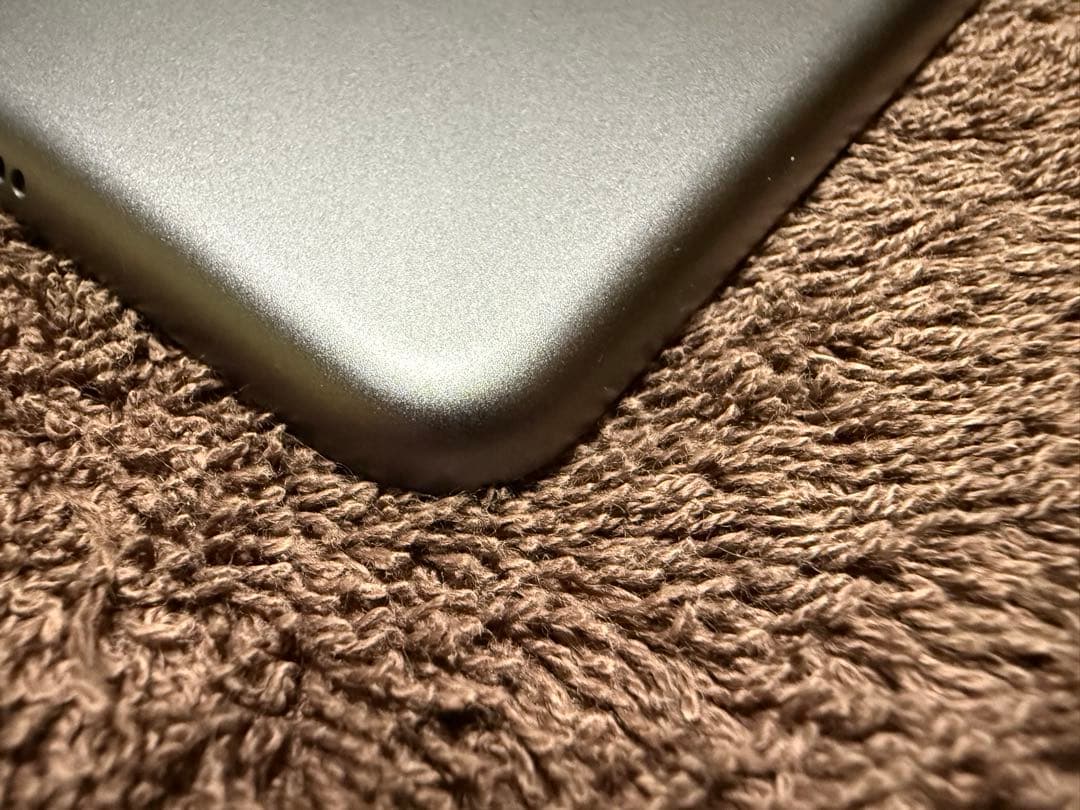 w*o様 ●iPad mini 第５世代 Cellularモデル　256GB S