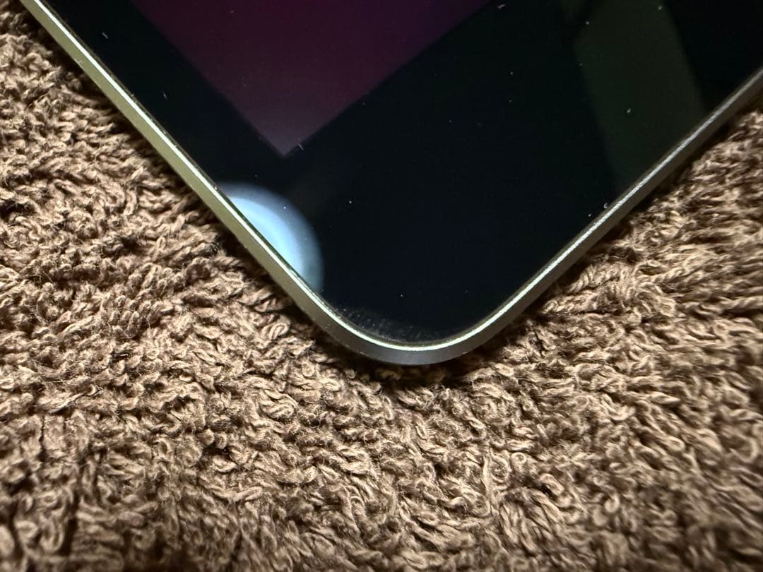 w*o様 ●iPad mini 第５世代 Cellularモデル　256GB S