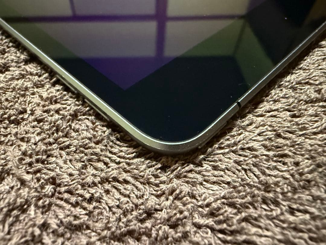 w*o様 ●iPad mini 第５世代 Cellularモデル　256GB S