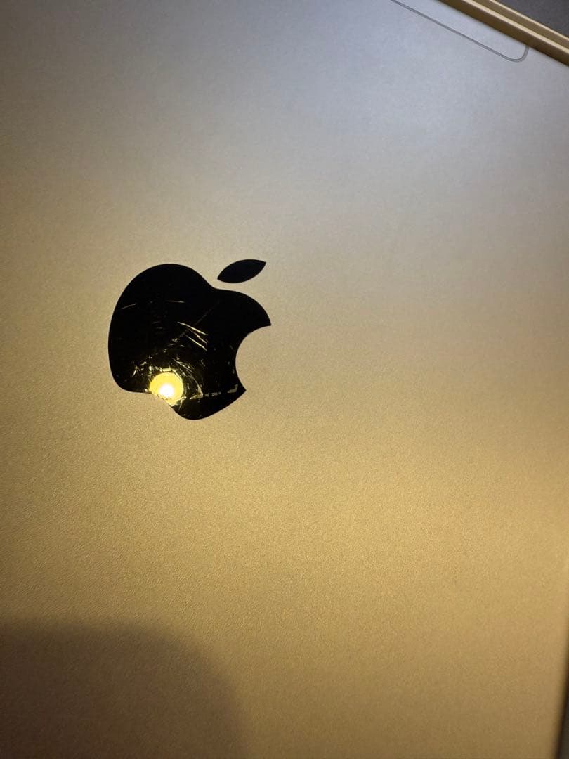 iPad Pro 10.5インチ　スペースグレー 64GB