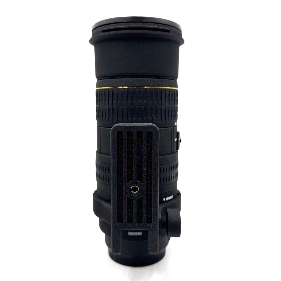 ❁大迫力！超望遠❁SIGMA 50-500mm EX APO HSM キャノン用