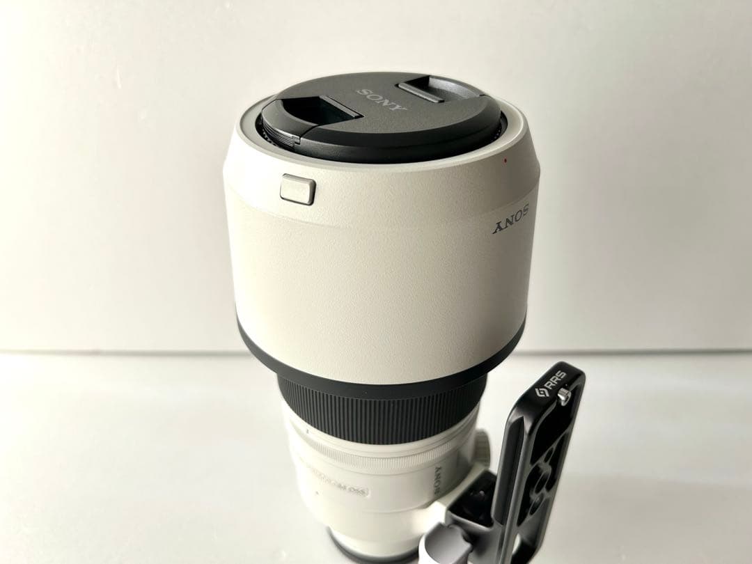 s*m様 SONY FE 100-400mm F4.5-5.6 GM OSS