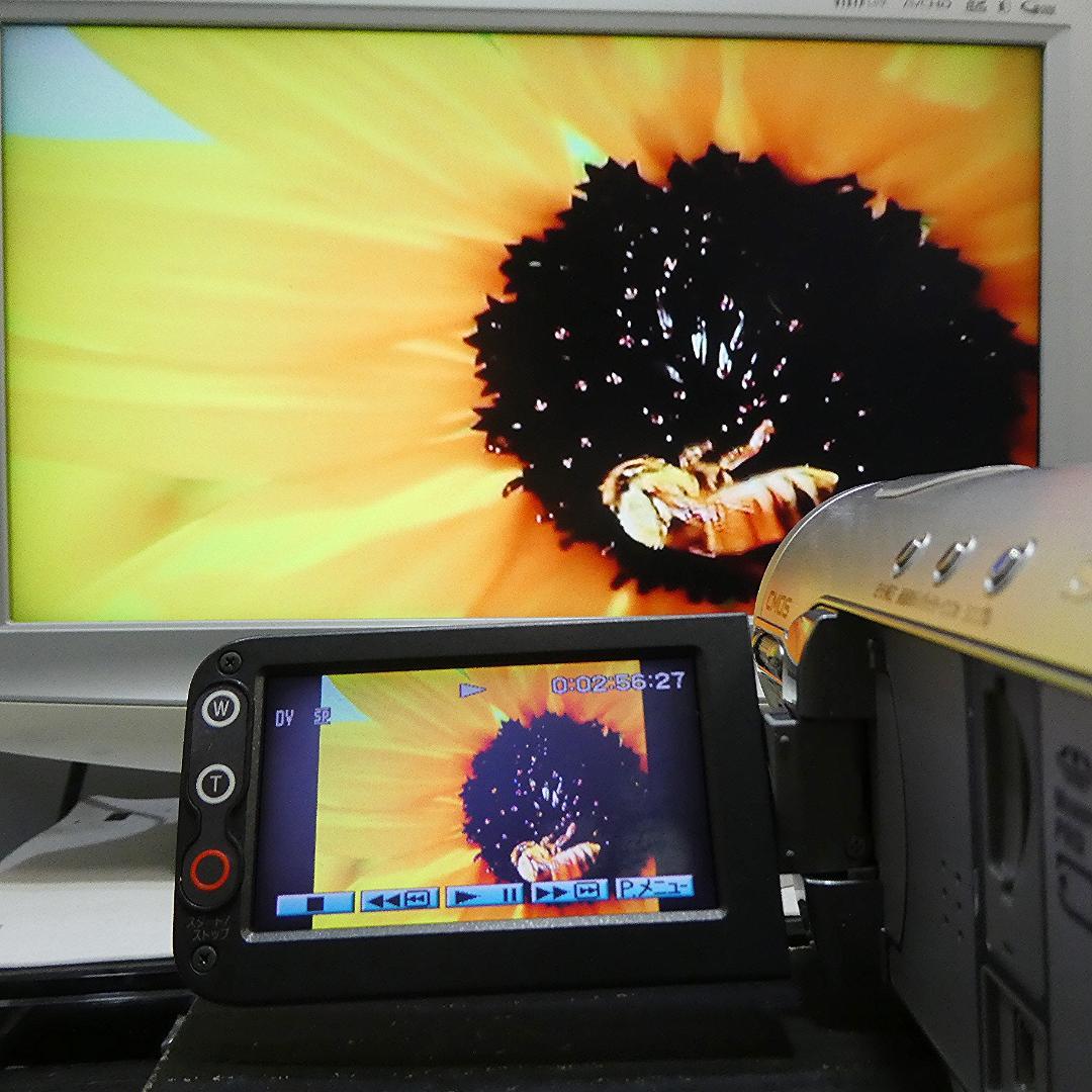 美品・動作品ソニー HDR-HC3 HDVビデオカメラ　DVDダビングに最適