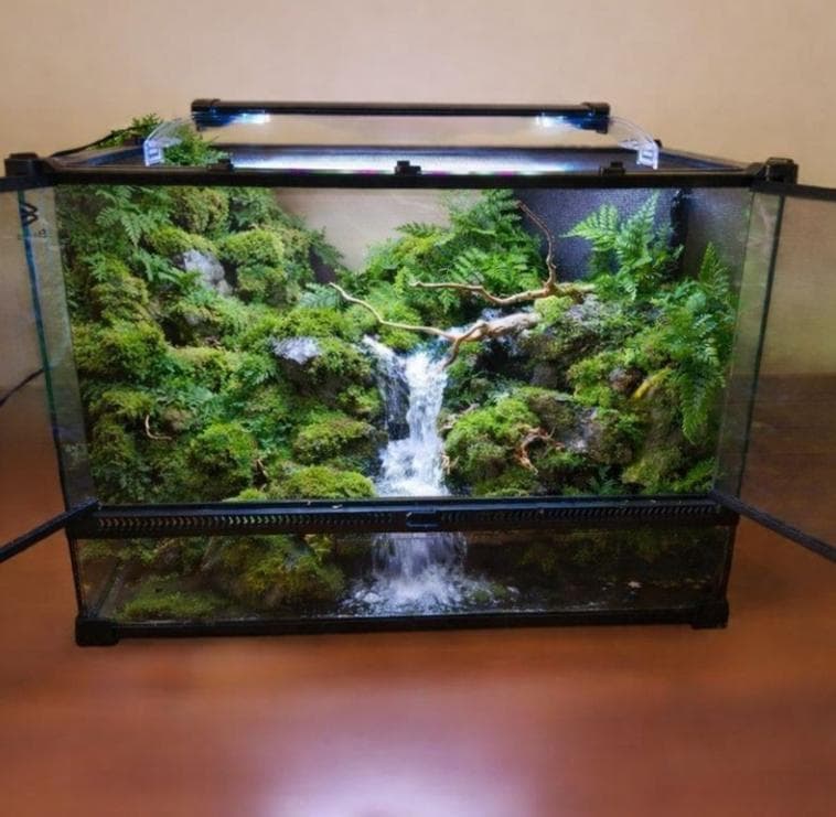 【受注生産】滝のあるアクアテラリウム　イモリウム　苔テラリウム　アクアテラリウム