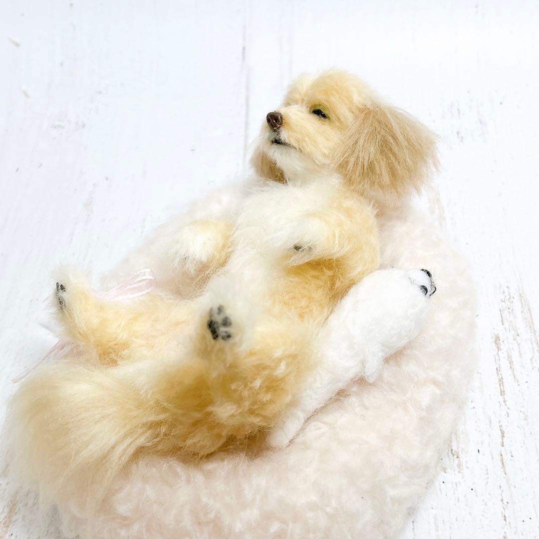羊毛フェルト 犬 マルプー トイプードル ミックス犬
