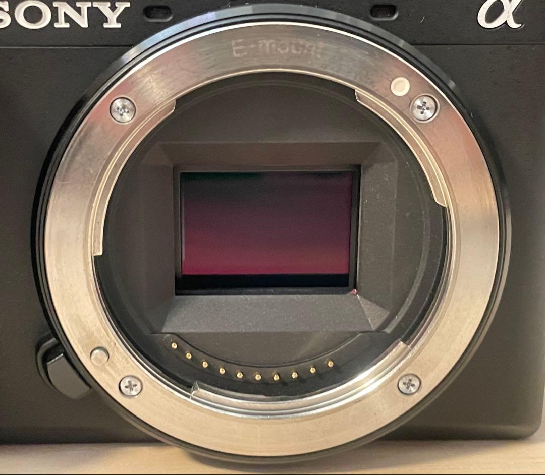 SONY aps-c ミラーレスカメラ α6600 ILCE-6600 ボディ