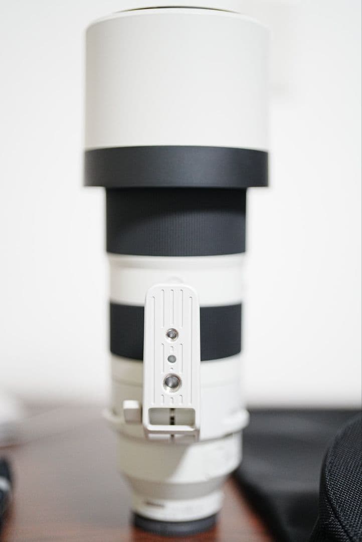 FE 200-600mm F5.6-6.3 G OSS レンズフィルター付き