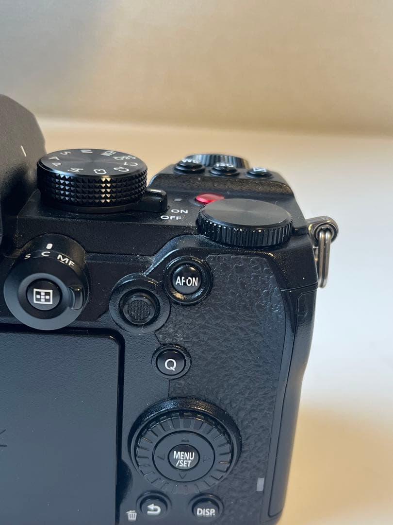 Lumix S5 ボディ【シャッター回数16453回】