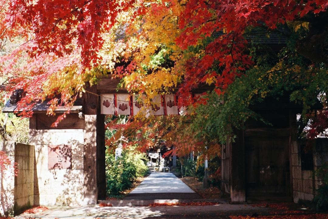 「実写確認整備品」イハゲーEXA／パンカラー50mmf2ゼブラ仕様L37付