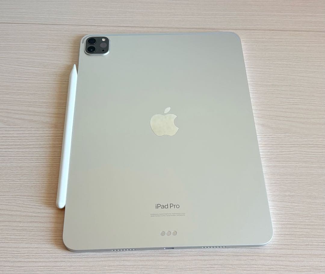 iPad Pro 11インチ 第4世代 Wi-Fiモデル 256GB