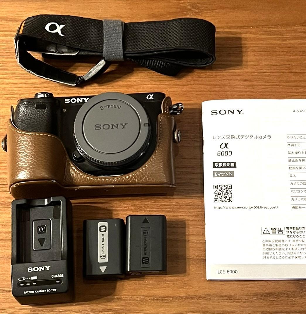 SONY α 6000 ボディ　純正バッテリー・チェンジャー　ケース付