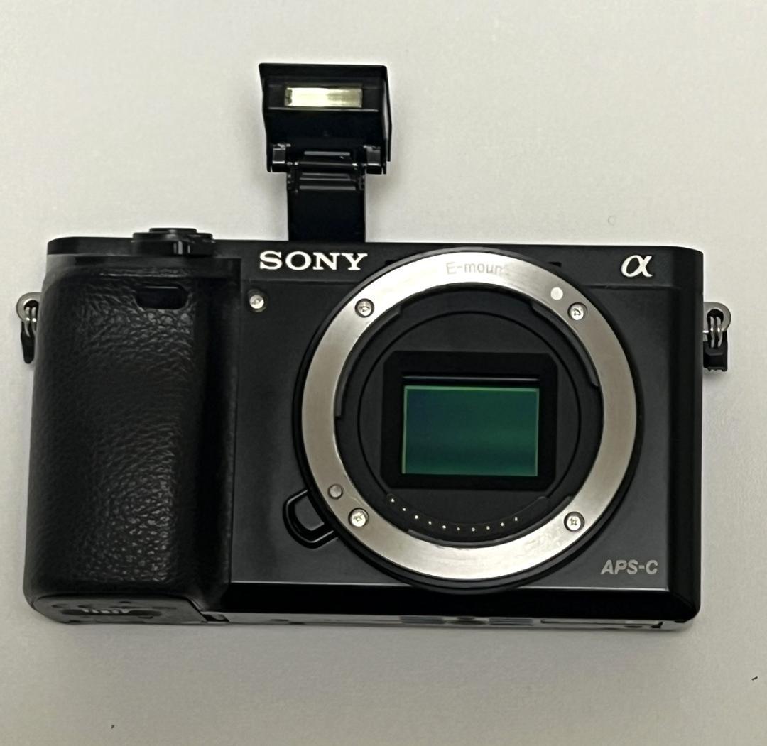 SONY α 6000 ボディ　純正バッテリー・チェンジャー　ケース付