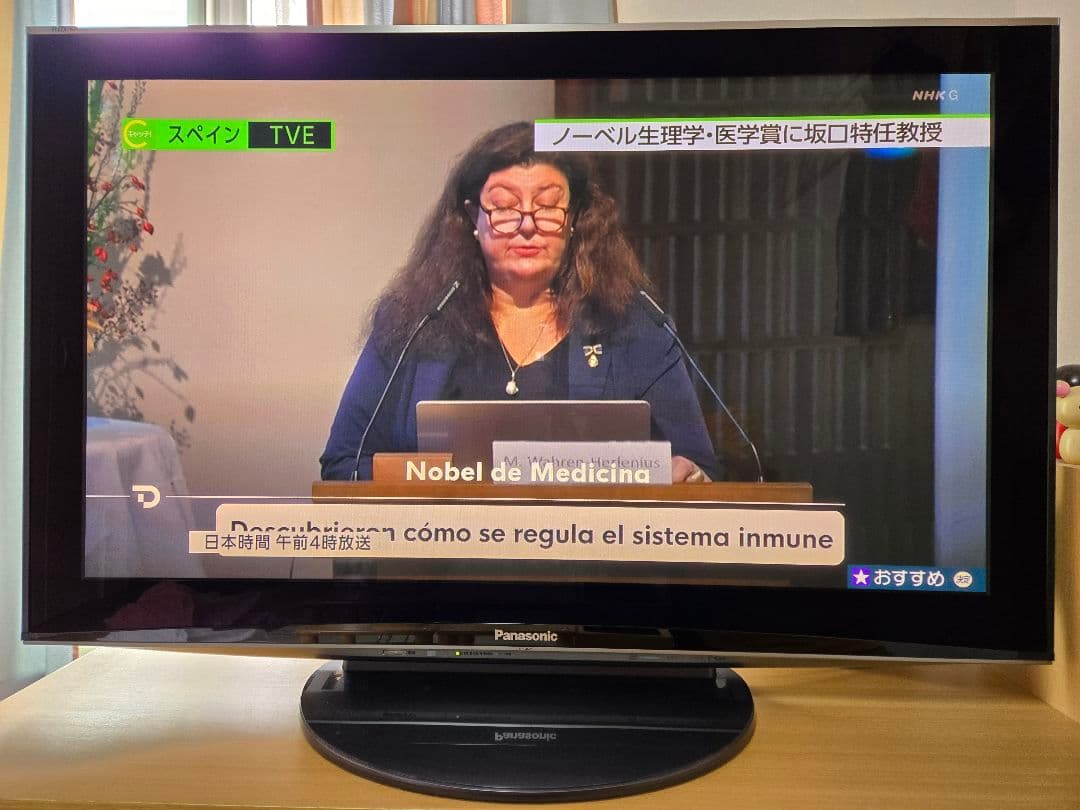 【tsutsu6161】プラズマテレビ TH-P46V1 46インチ