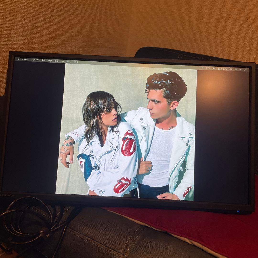 I-O DATA EX-LDH241DB-B 液晶モニター＋モニターアーム