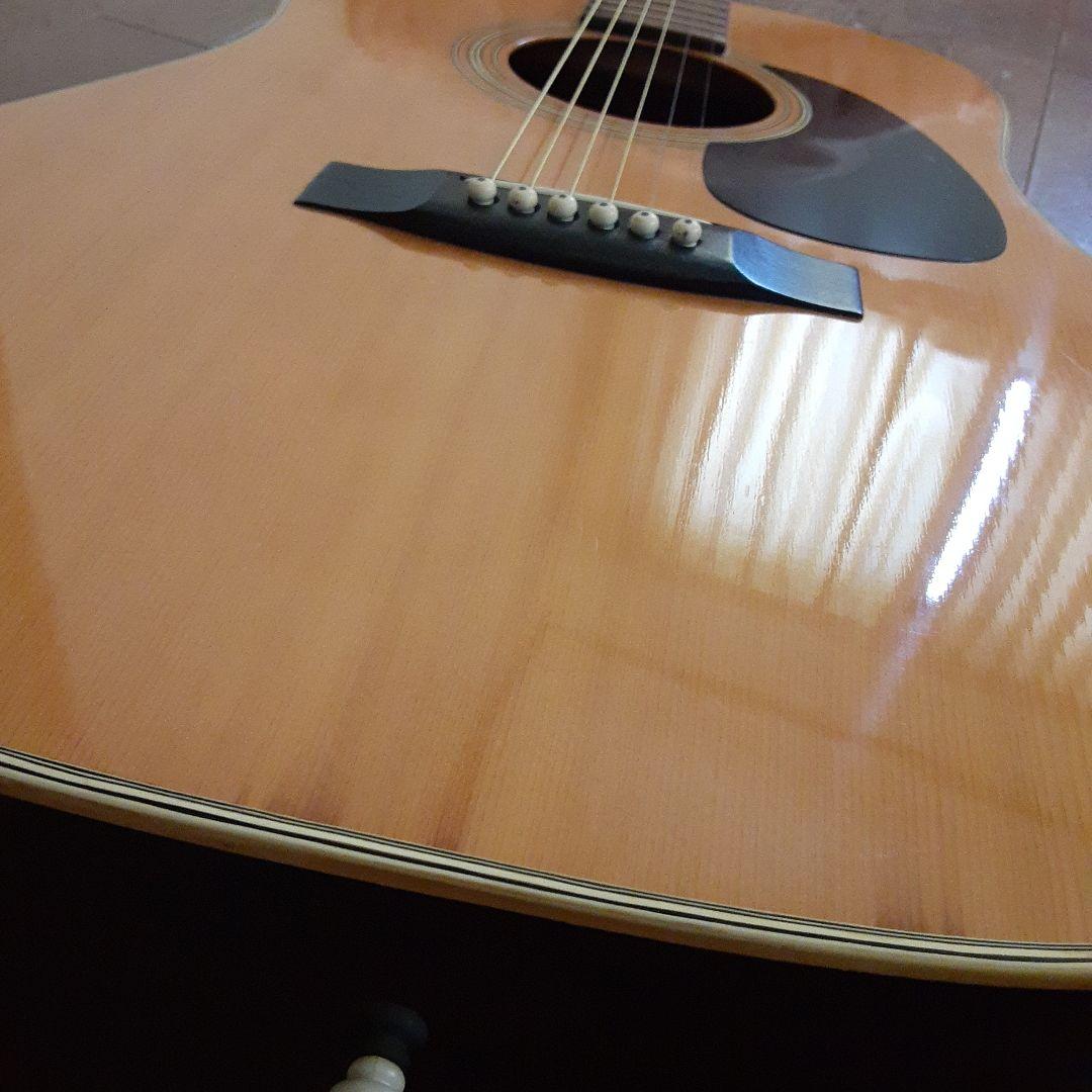 Morris W-20アコースティックギター ドレッドノート