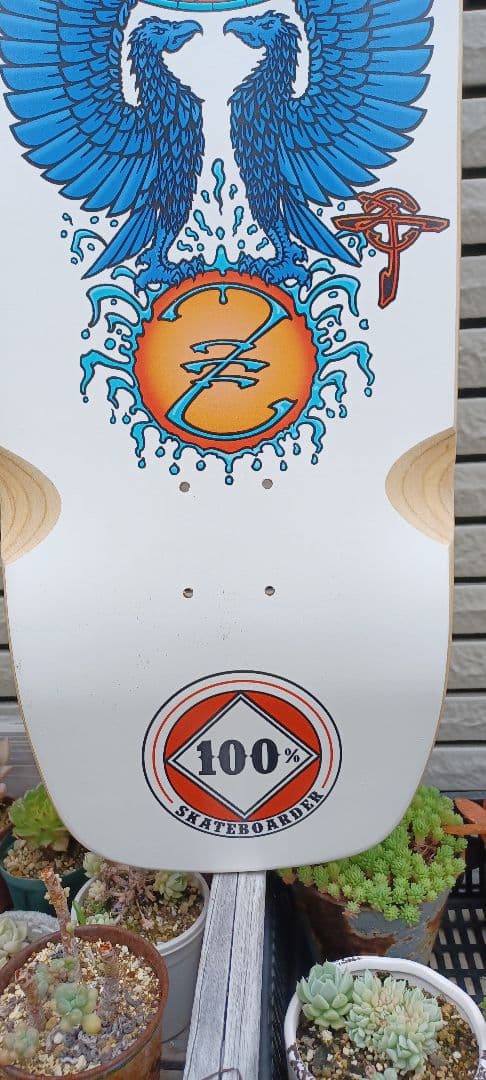 jay adams dogtown 9.85 スケートボード　デッキ