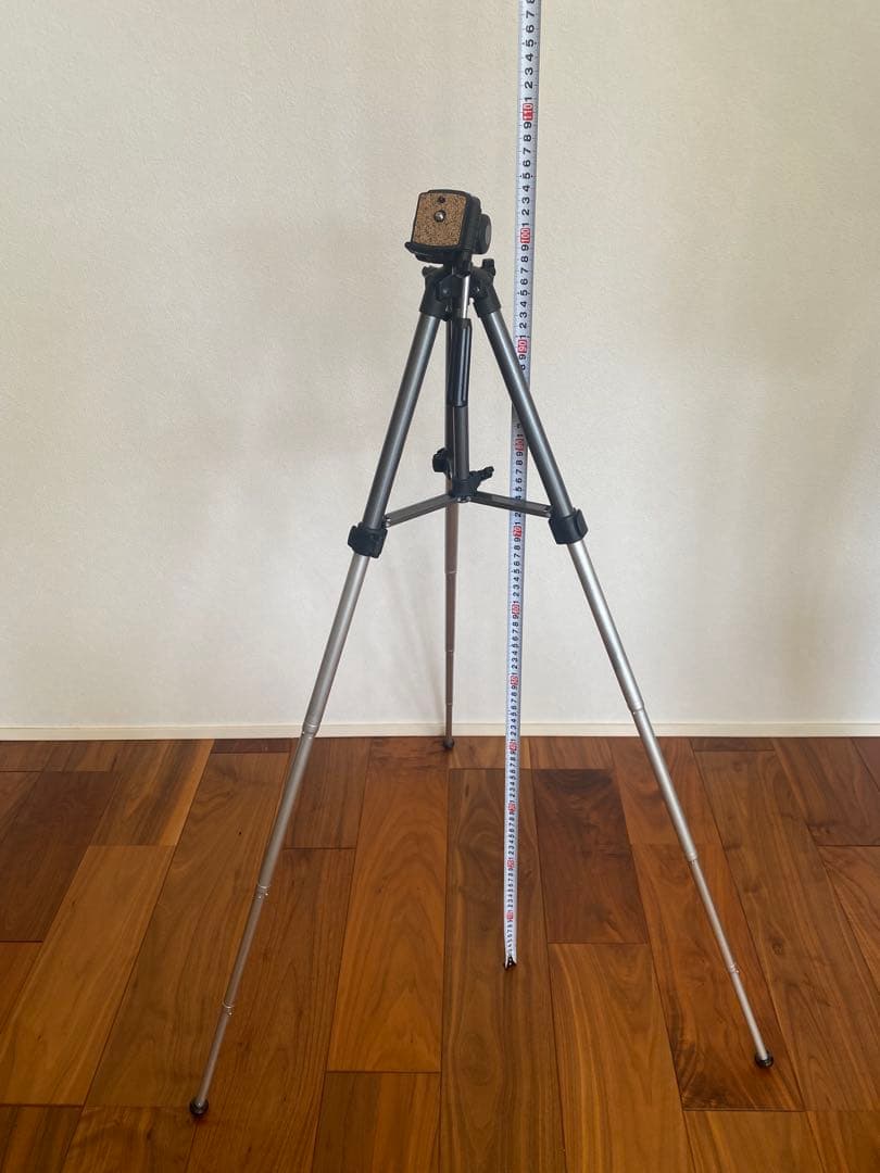 ソニー　ハンディカム　HDR-PJ800 付属品 三脚付き