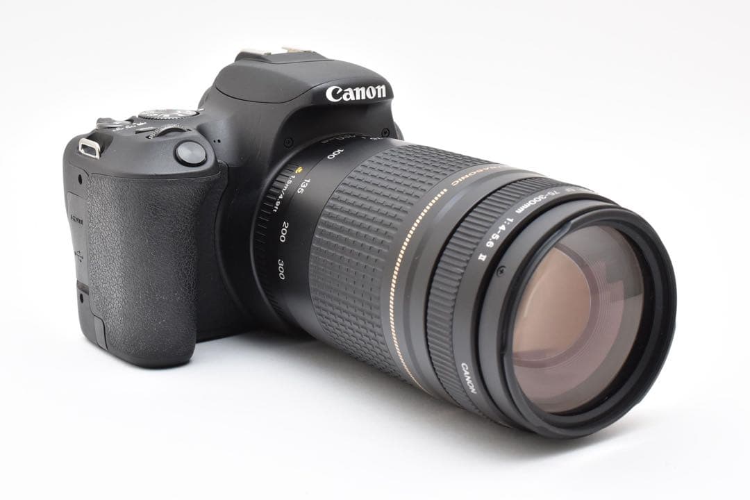 キャノン CANON EOS Kiss X9望遠レンズセット