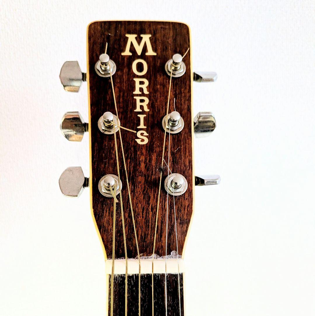 MORRIS　W-35　モーリス　ビィンテージ　トップ単板