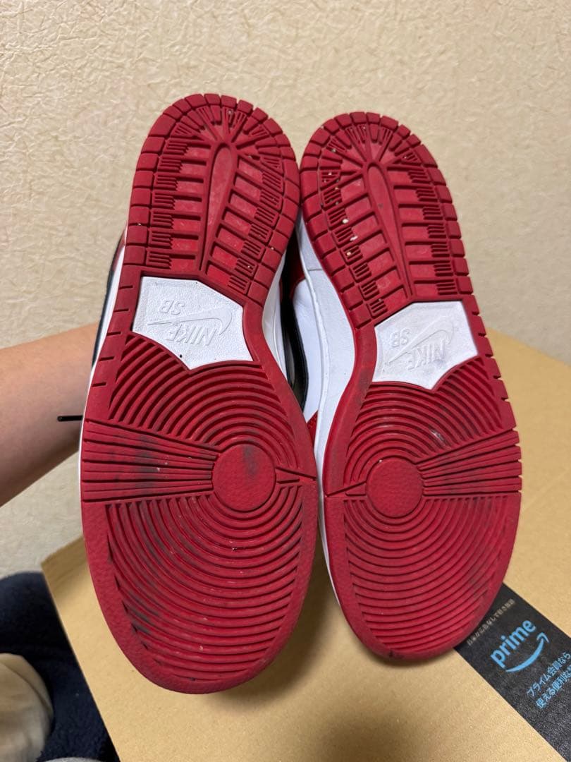 靴 NIKE SB DUNK LOW PRO Chicago