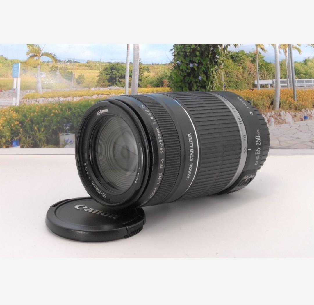 ✨遠くも撮れる✨Canon EF-S 55-250mm IS F4-5.6 美品