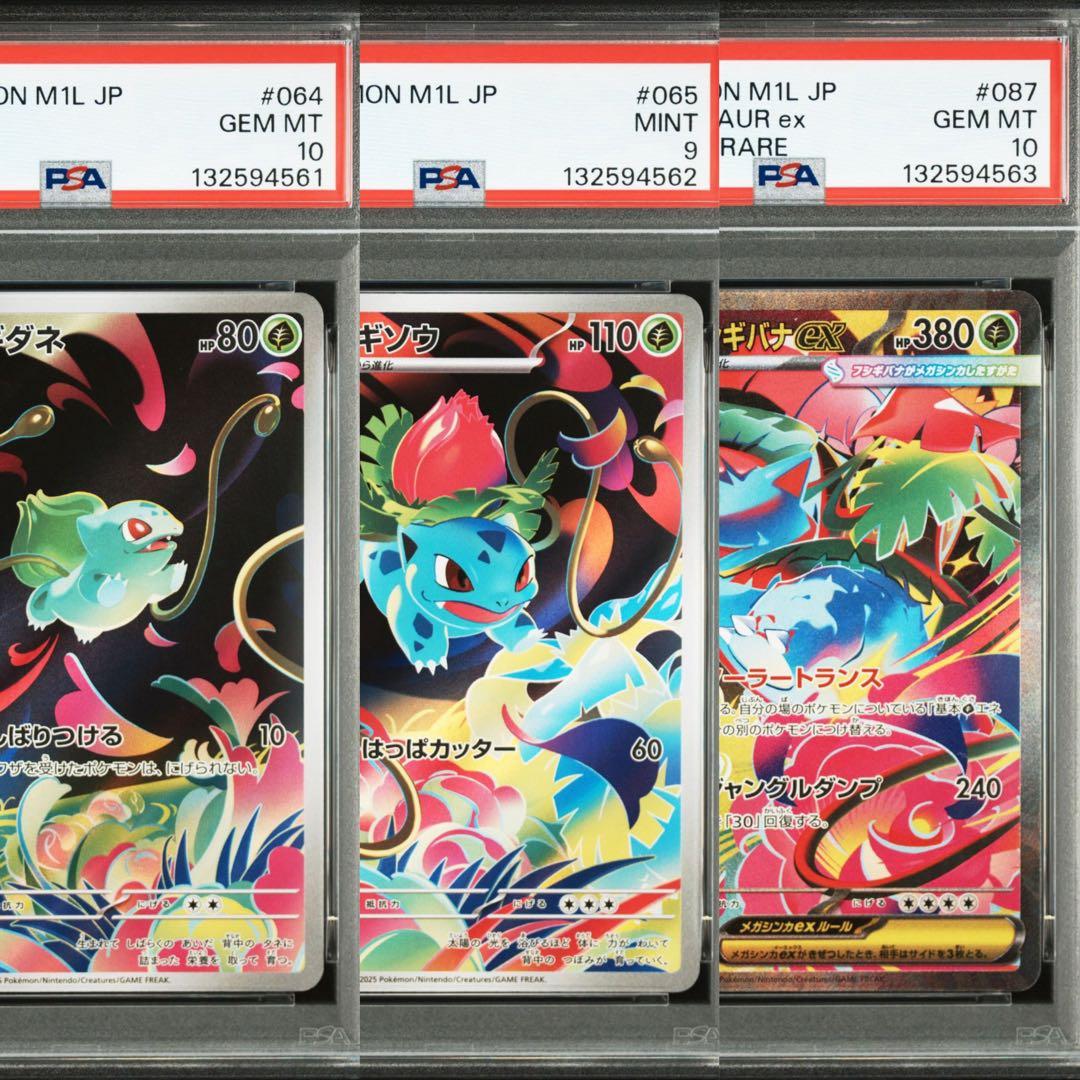 【連番】メガフシギバナex sa psa10