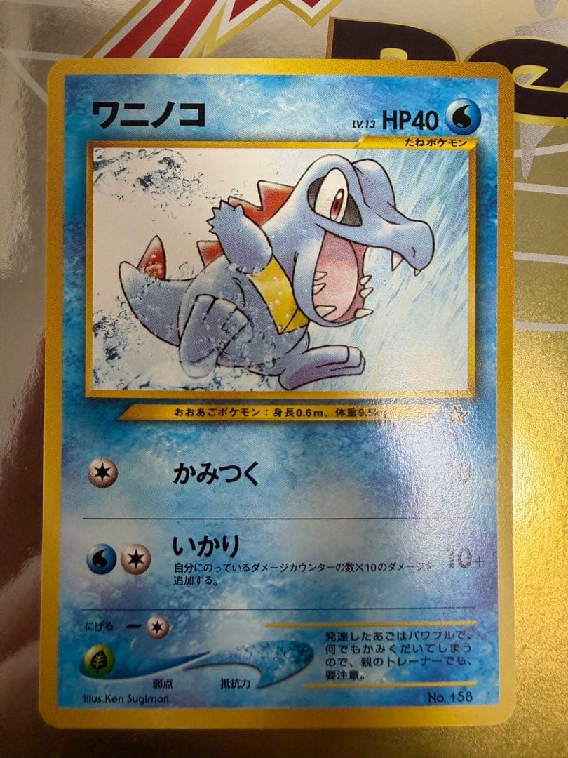 ポケモンカード neo プレミアムファイル　旧裏