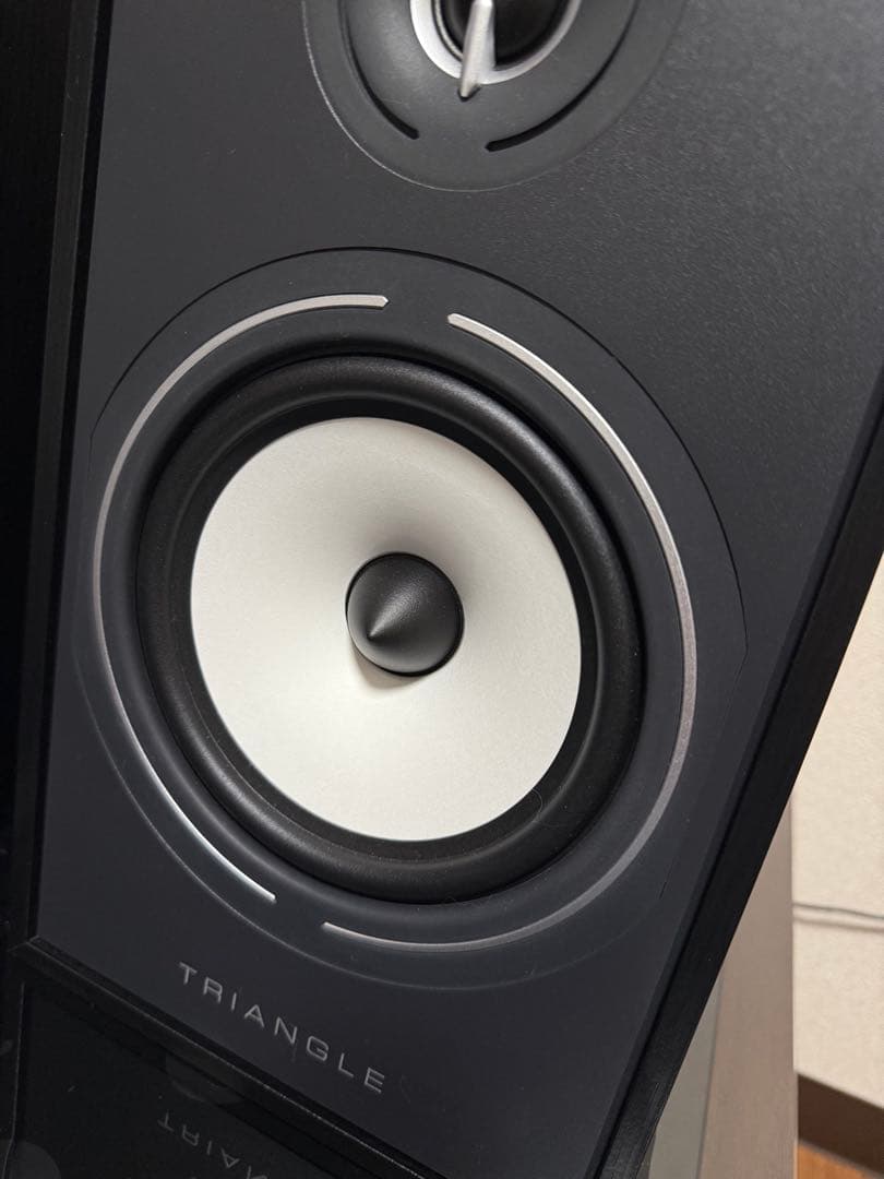 TRIANGLE BOREA 03 CONNECT スピーカー