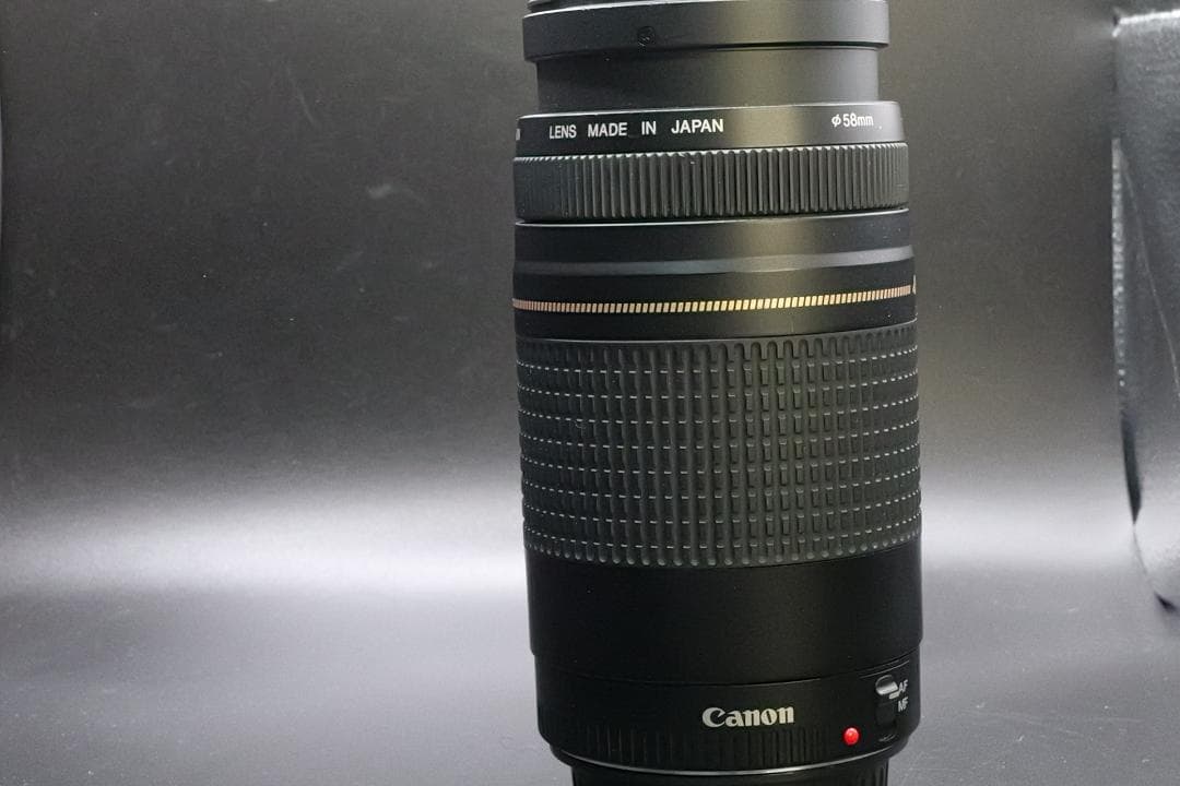 ★極美品望遠レンズ★ Canon EF 75-300mm 発表会 運動会用