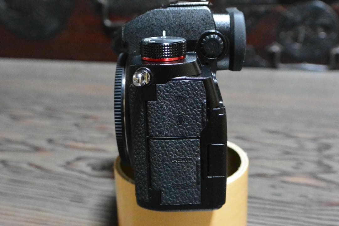 Panasonic パナソニック LUMIX S5 ミラーレスカメラ