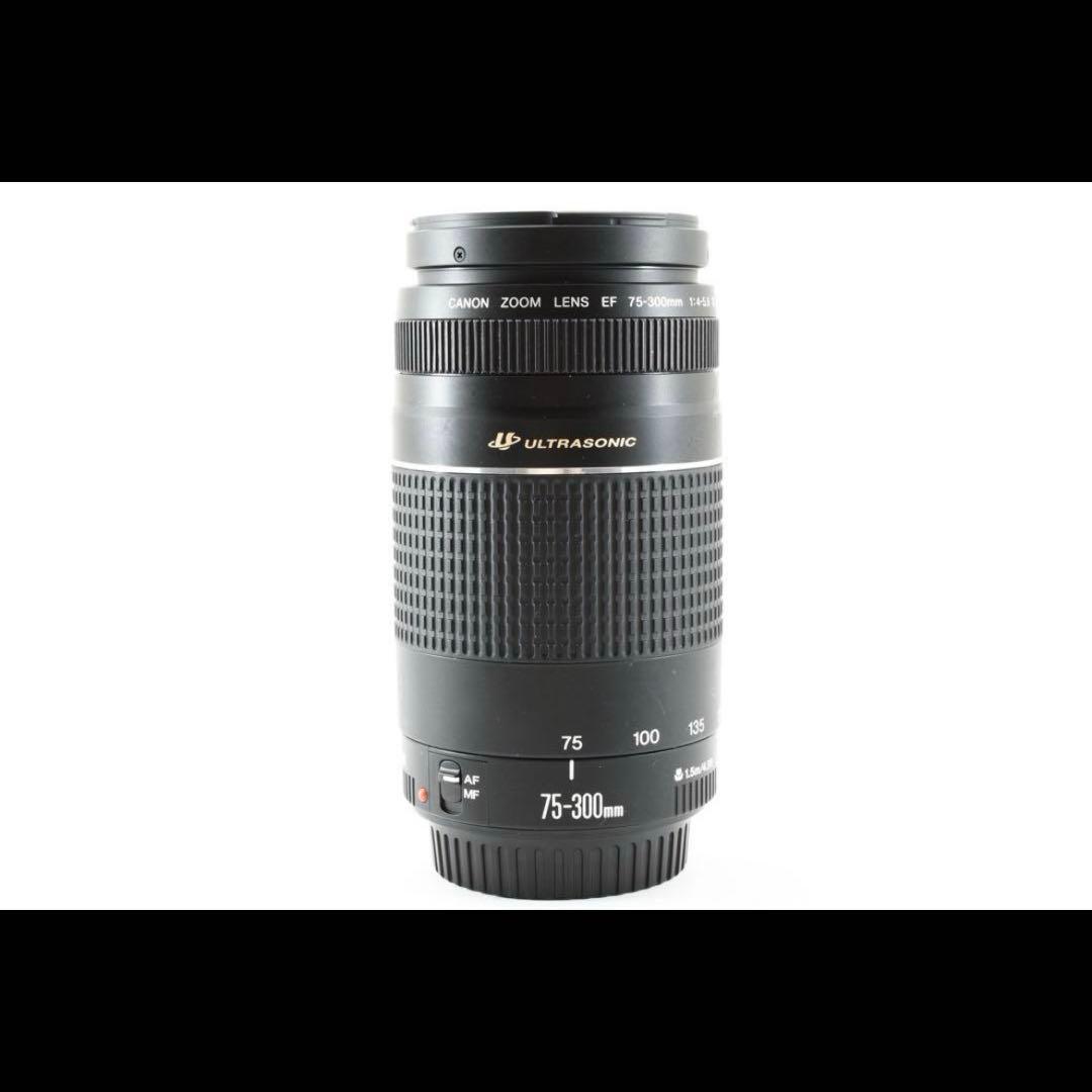 迫力の300㎜/フード付/望遠レンズ　Canon EF75-300㎜